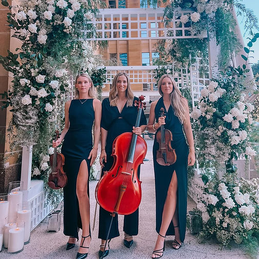 LUXE STRINGS