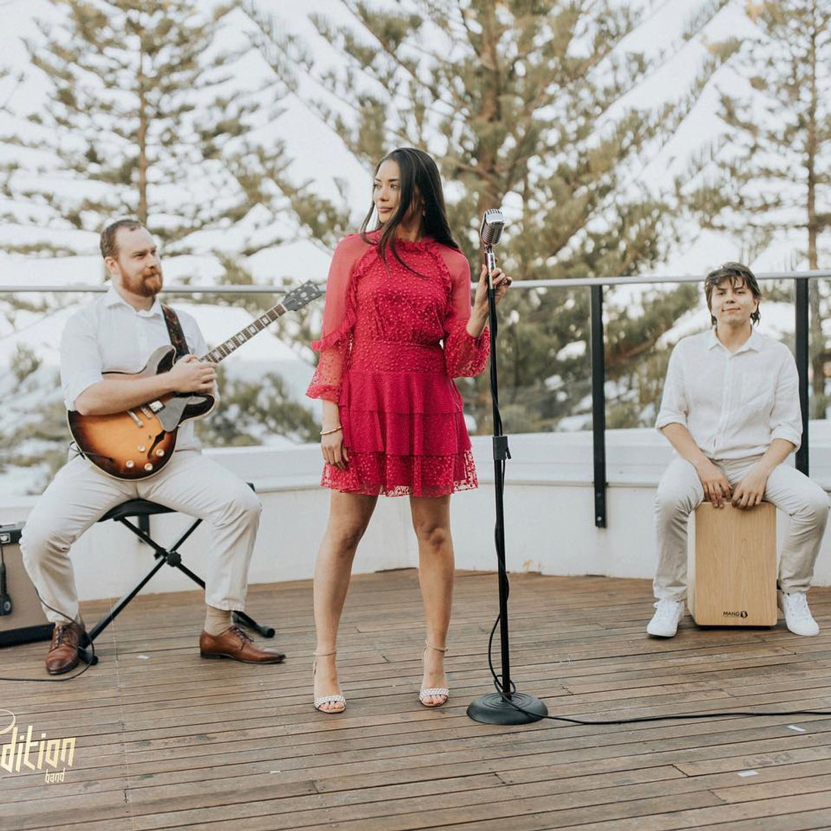 Limited Edition Band photo 7