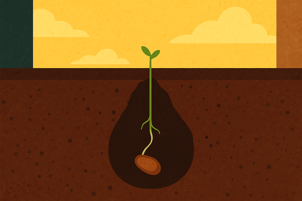 Christian reflection on God planting seeds, revealing NEXT GENERATION as a vision and calling