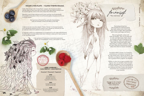 Original interior pages from my original creatures Bestiary: CENNET.