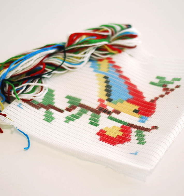 Parrot Embroidery