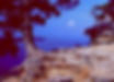 Blue undertones with a tree on the side of a stone bluff with the lake in the background and the moonrise