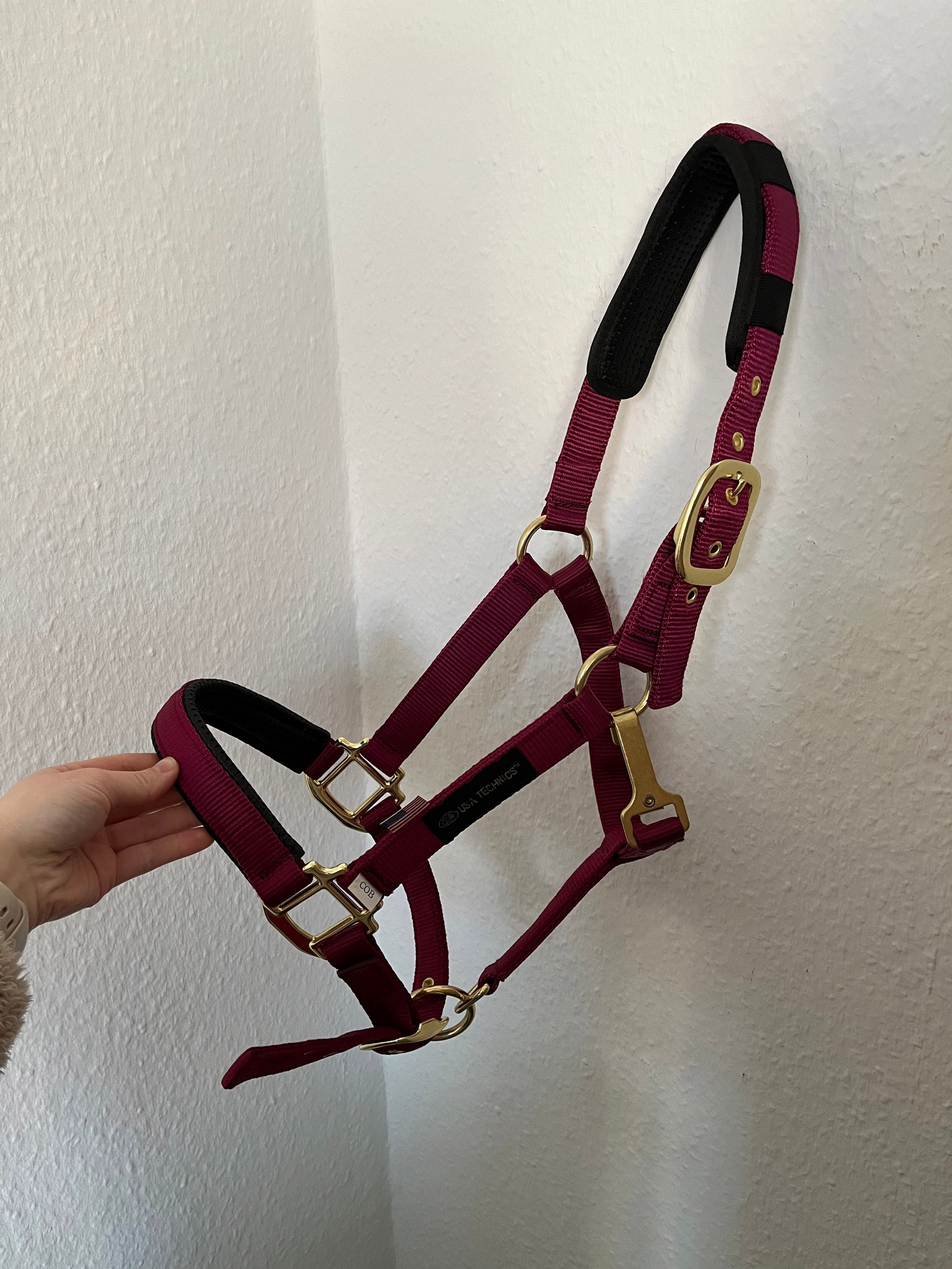 sehr stabiles Halfter in burgundy cob 