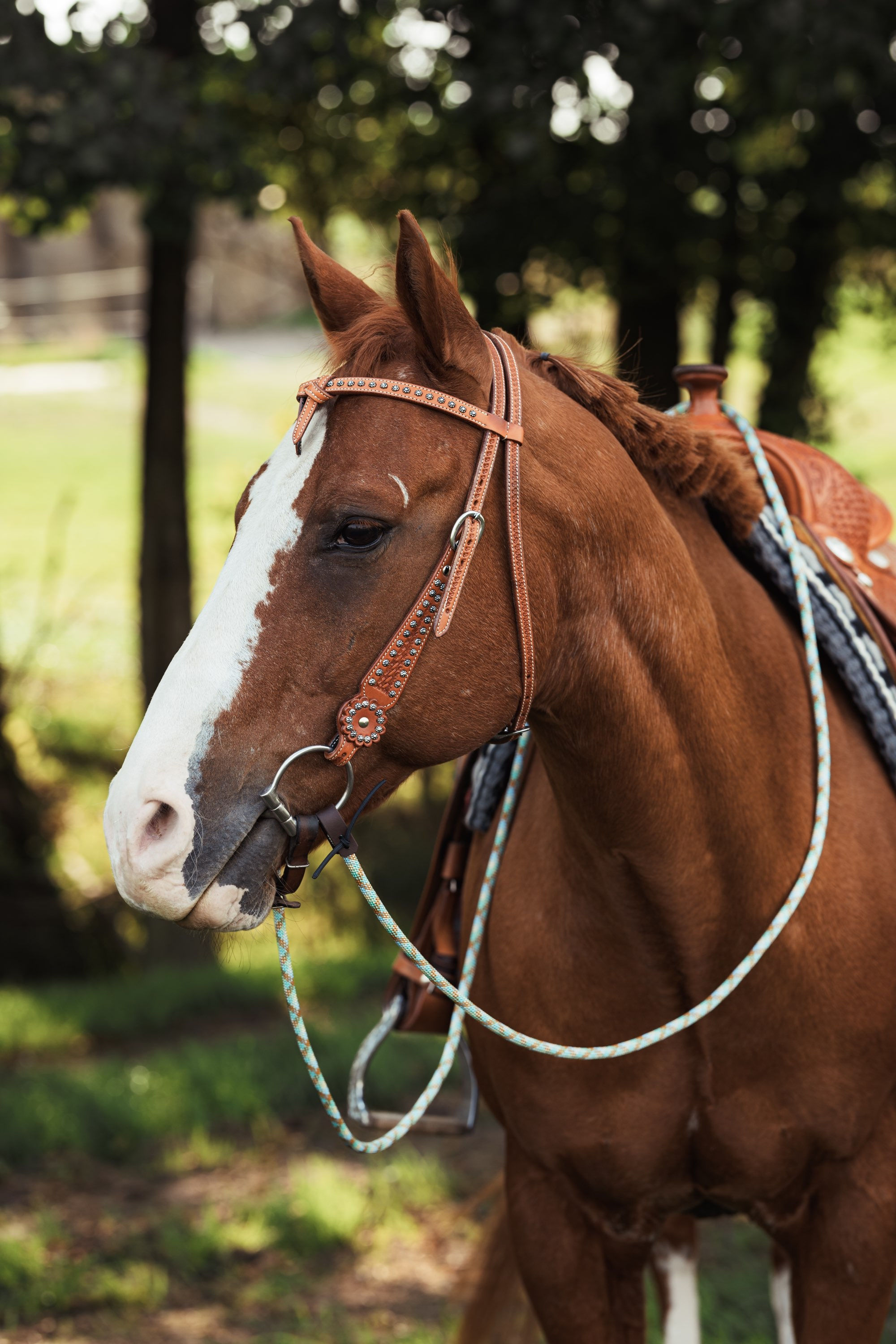 Westerntrense mit geknotetem Stirnriemen und Nieten chestnut