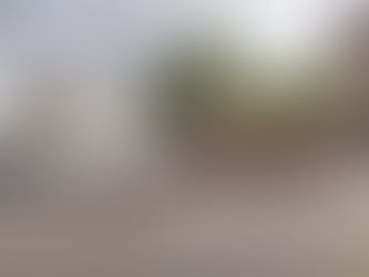 Cabanons Tahiti: un rapport de minorité qui a convaincu la majorité!