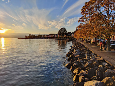 Concept d'aménagement des berges