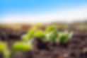 AdobeStock_506731478 (1).jpeg