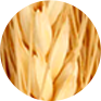 cevada