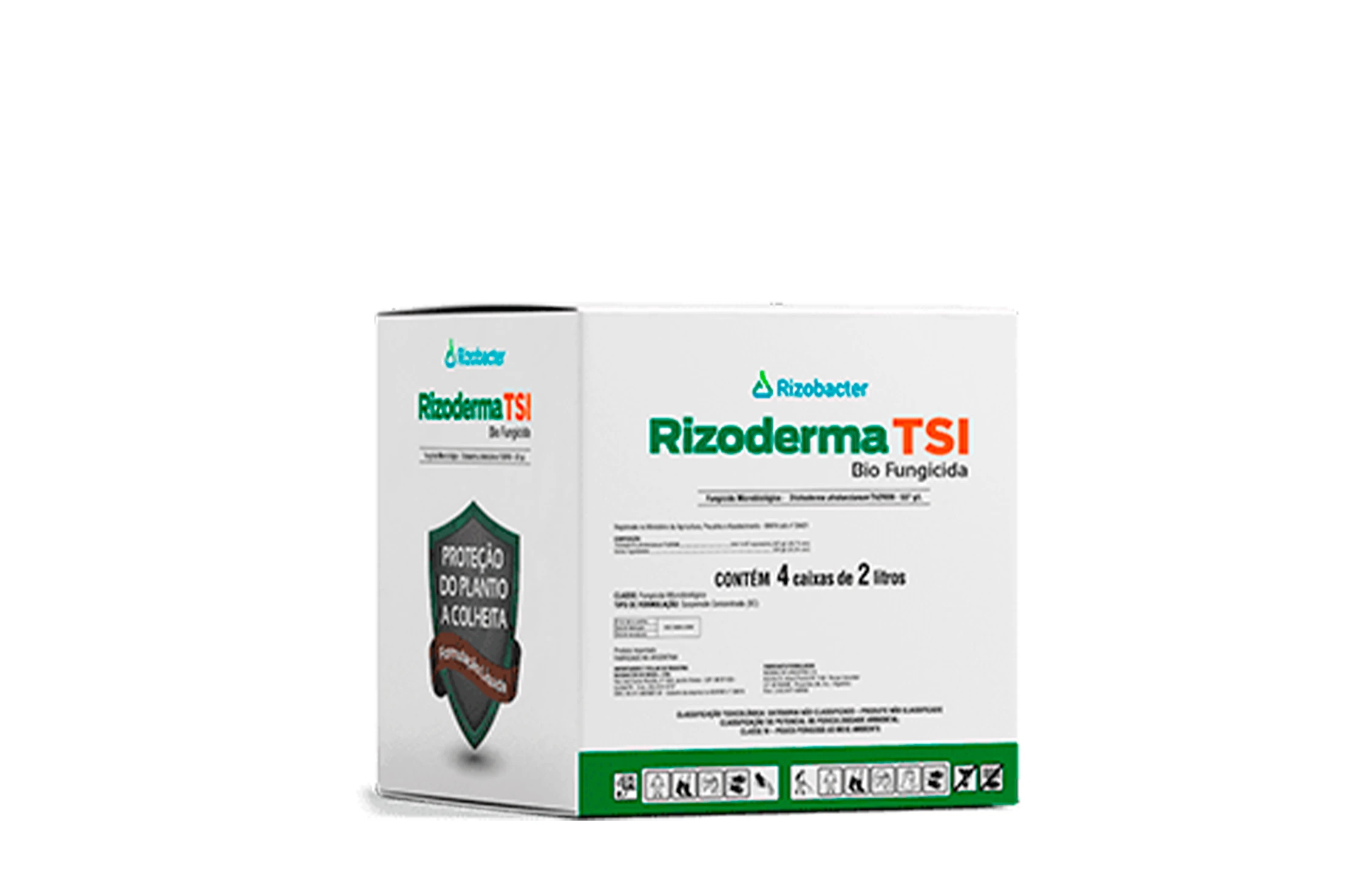Rizoderma