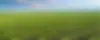 o produto_9.webp