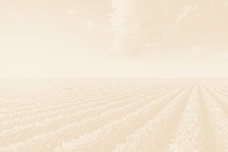 AdobeStock_197520077 (2).png
