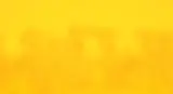 bg.webp