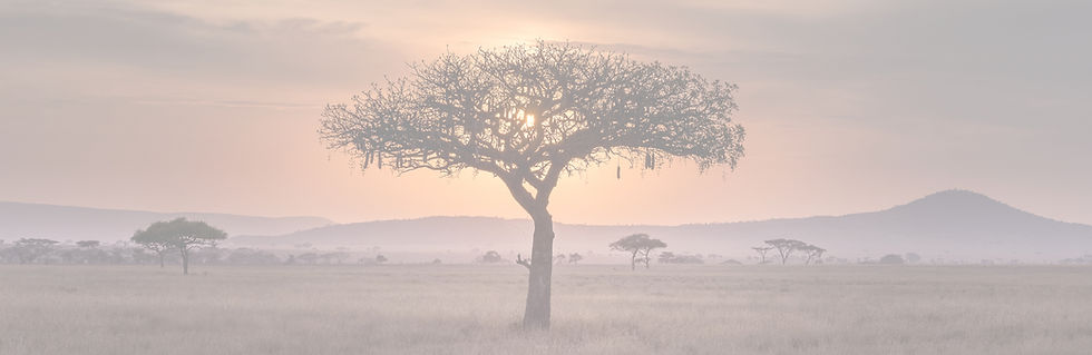 newsletter Sury'Âme pour recevoir toutes les informations de l'accompagnement et des soins énergétiques, reiki, constellations familiales et communication d'âme à âme en Gironde et à distance