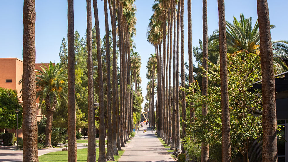 ASU palmwalk.jpg
