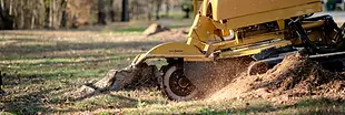 stump grinding picture.webp
