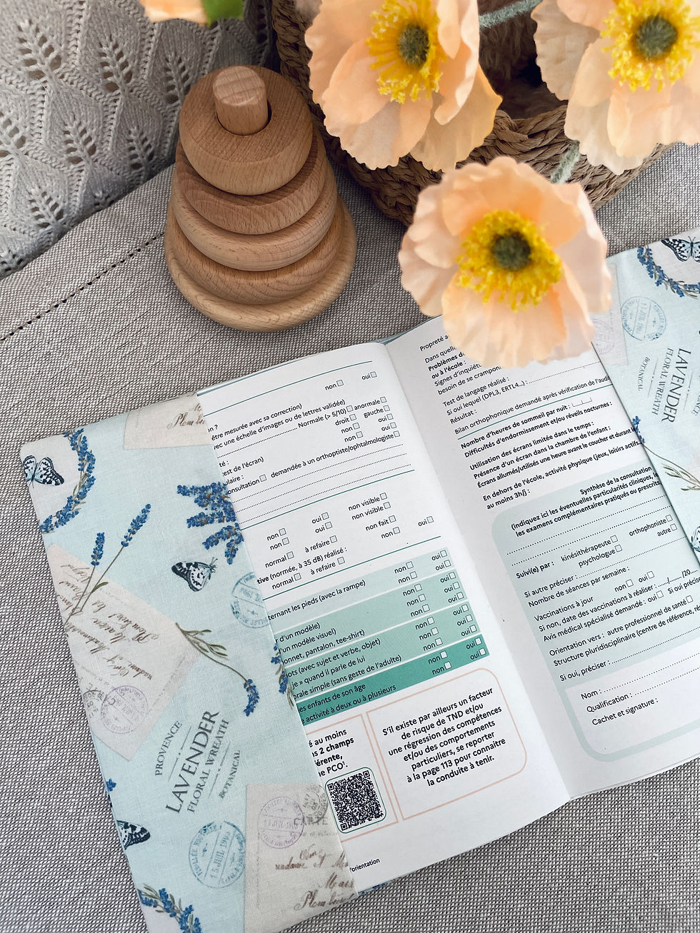 Miniature : Housse carnet de santé papillons et lavandes