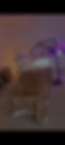 The Skinergist - Treatment Room.jpg