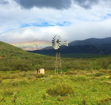 Agricultural Farms l SOLD BY SAM COHEN 