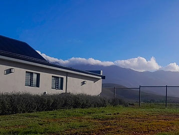 20240411_085150.jpg