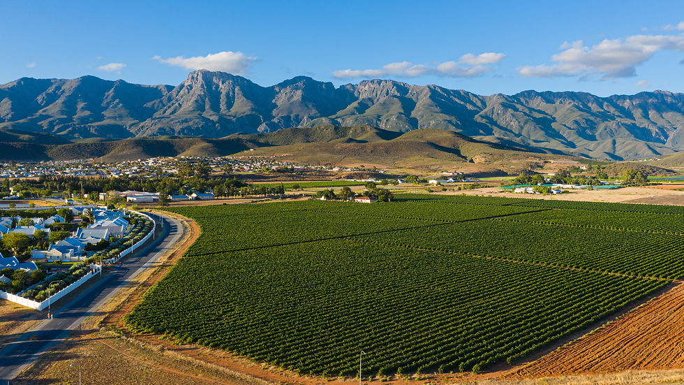 Robertson's Langeberg Mountains & Vineyards