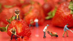 Leverage Your Data Effectively