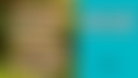 Exploring the Exciting Business Central 2023 Release Wave 2: A Comprehensive Overview