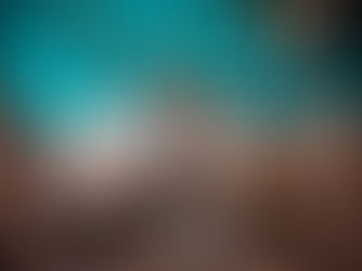 Hirsche Nicht Aufs Sofa