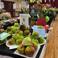 Show Exhibits