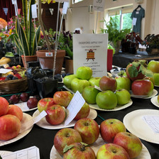 Fruit Classes