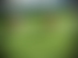 My Kids got into a Big Argument