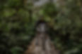 medellinpreview-33_edited.jpg