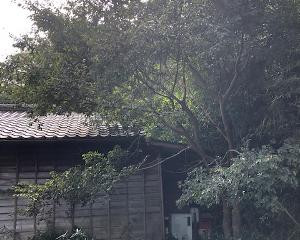 家にかかった枝おとし風景