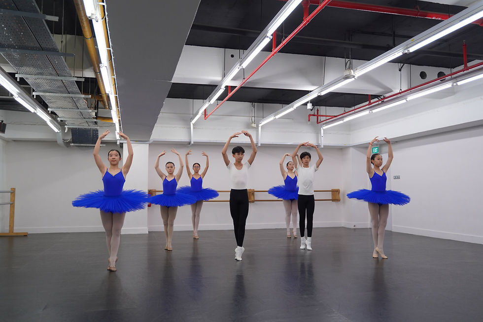 What to Look for in a Ballet Programme