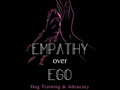 🕵️♀️ Being Your Dog's Detective and Advocate