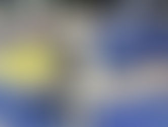 Nebula | Husky Mix | San Diego, CA | In-Training