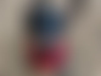 Ryder I Miniature Pinscher I Temecula, CA I In-Training