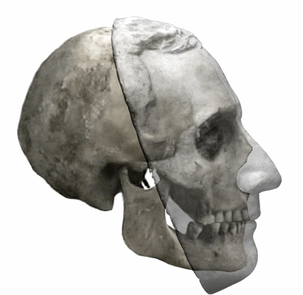 skul masks.gif