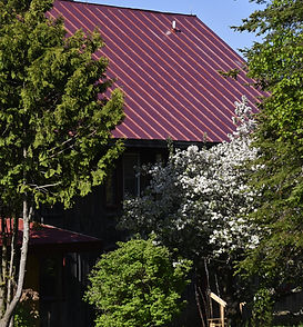 _DSC5397_edited.jpg