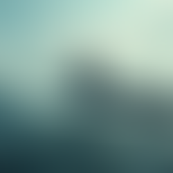 Exploring the Impact of German U-boat Attacks Off Florida's Coast During WWII