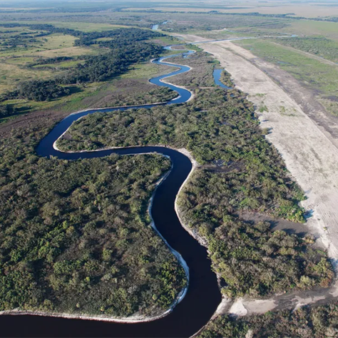 Taming the Kissimmee River: The History and Consequences of Channelizing into C-38