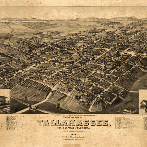 Why Tallahassee? The Story Behind Selecting Florida’s State Capital