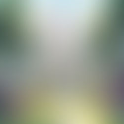 The Mystery of the Coral Castle