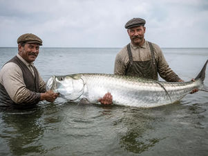 How Tarpon Springs Got its Name