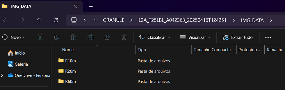 Exemplo de Dados baixados.