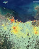 O que pode ser feito com Sentinel-1? Veja as aplicações
