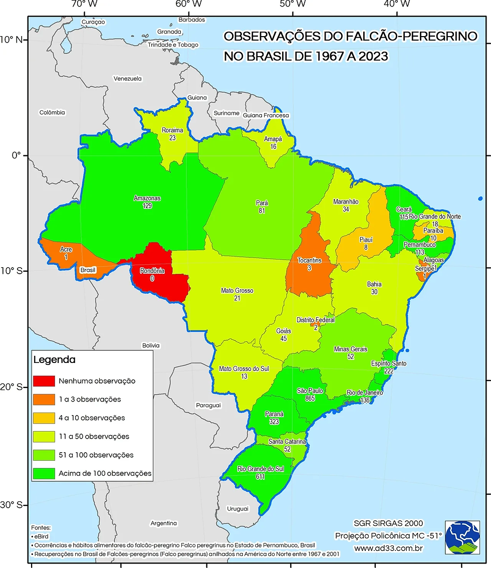 Observações do Falcão-Peregrino.