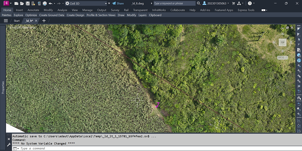 Imagem sendo exibida normalmente.