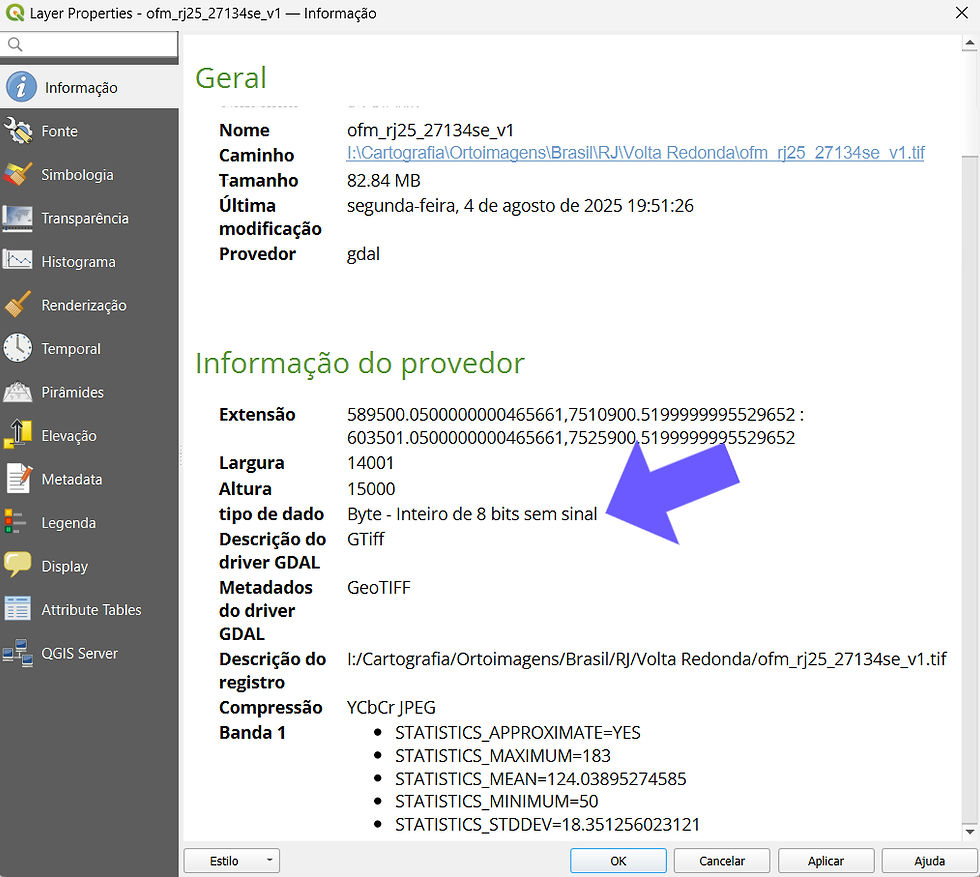 Neste caso temos um dado de inteiro de 8 bits sem sinal.