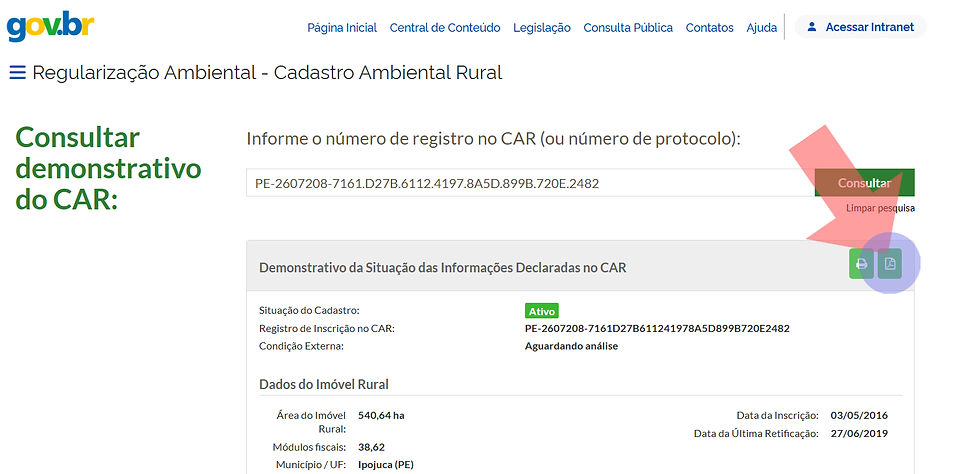 Clique no botão para salvar o demonstrativo.