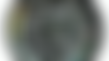 Marcações do indicador de velocidade no ar para uma aeronave multimotora. De https://www2.anac.gov.br/anacpedia/ing-esp/tr3753.htm